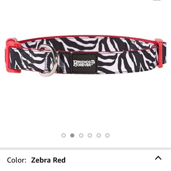 (L) Friends Forever Pattern Dog Collar - Picture 1 of 5